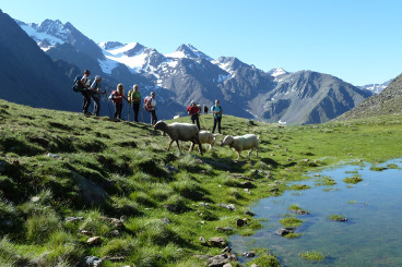 Klamm-Hoehenweg-Alm